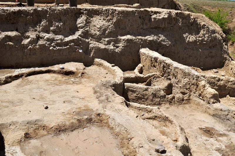  L'homme a dÃ©jÃ  fait du vin il y a 8 000 ans, selon les archÃ©ologues